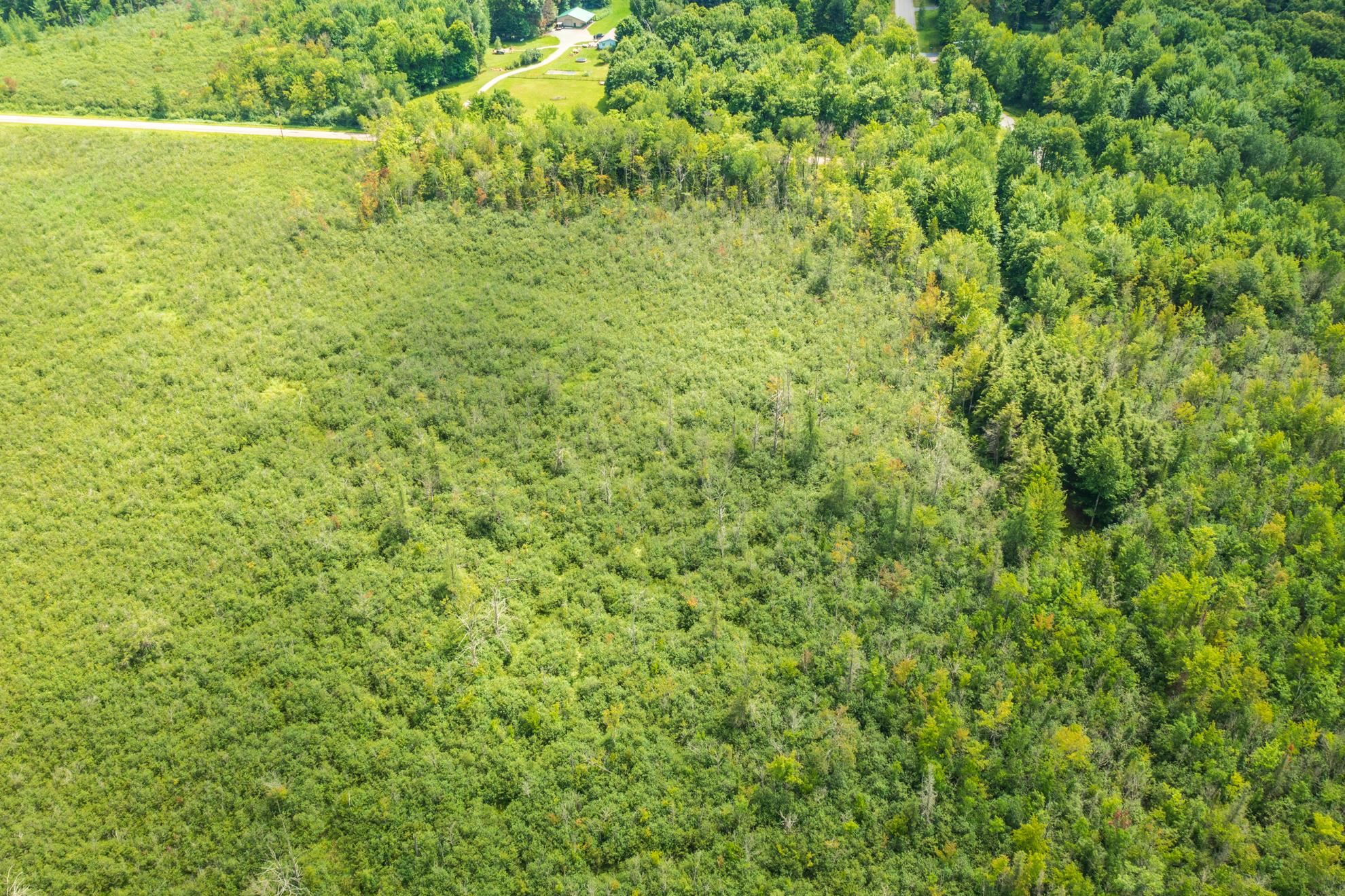 40 Acres Shorey Avenue Property Photo 12
