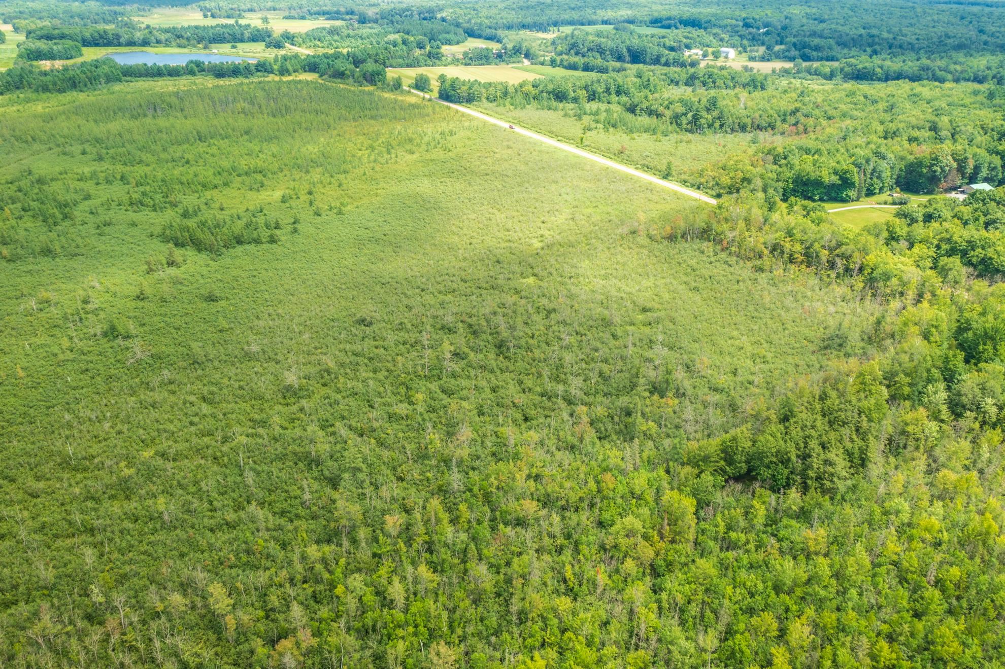 40 Acres Shorey Avenue Property Photo 13