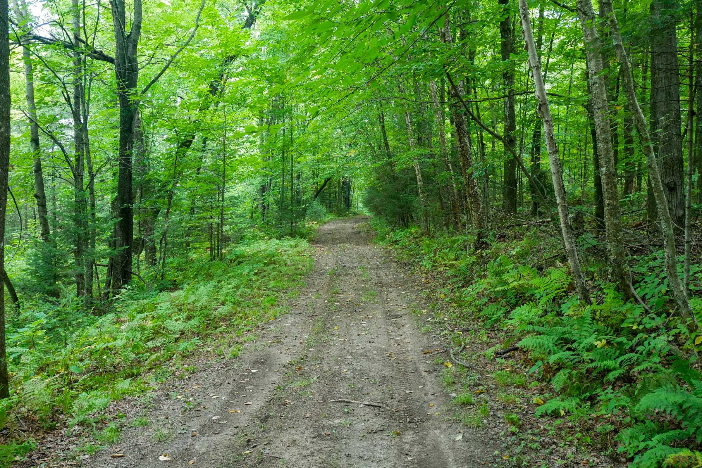 +/-499.15 Ac Horseshoe Lake Avenue Property Photo 3