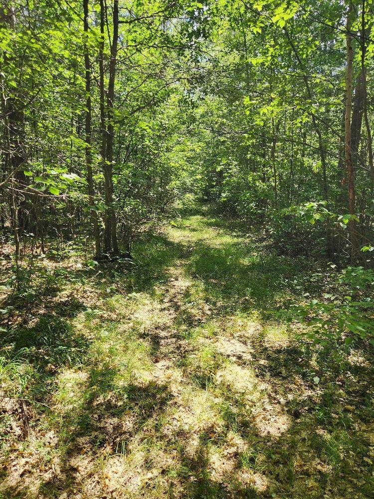 On Prairie Lake Road Property Photo 11