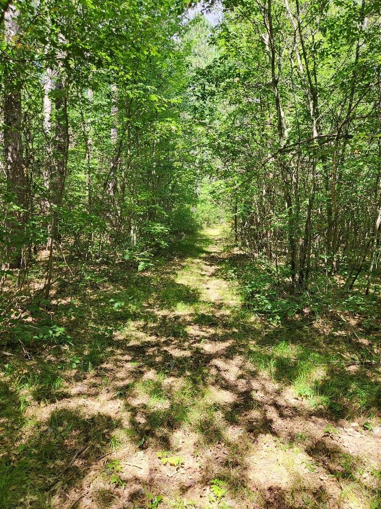 On Prairie Lake Road Property Photo 12