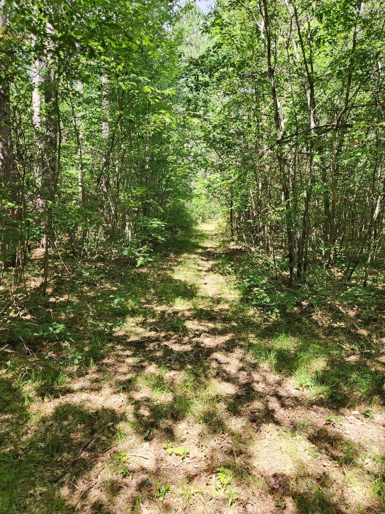 On Prairie Lake Road Property Photo 13
