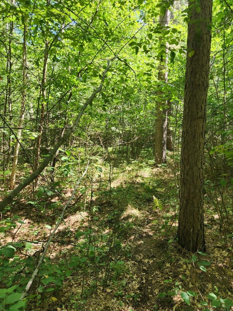 On Prairie Lake Road Property Photo 14