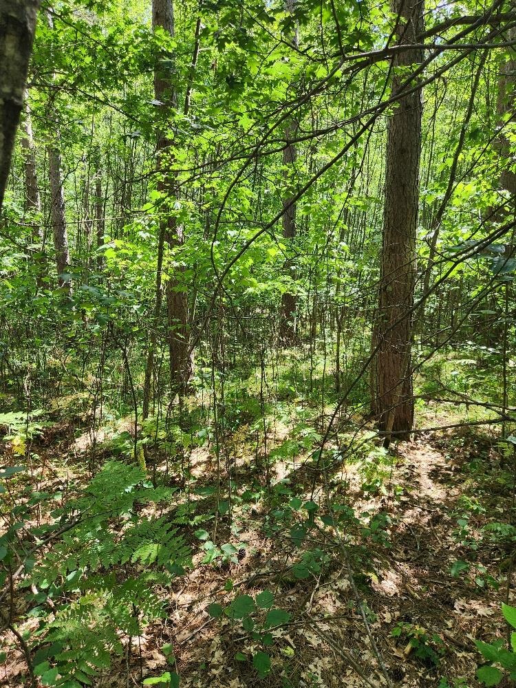On Prairie Lake Road Property Photo 16