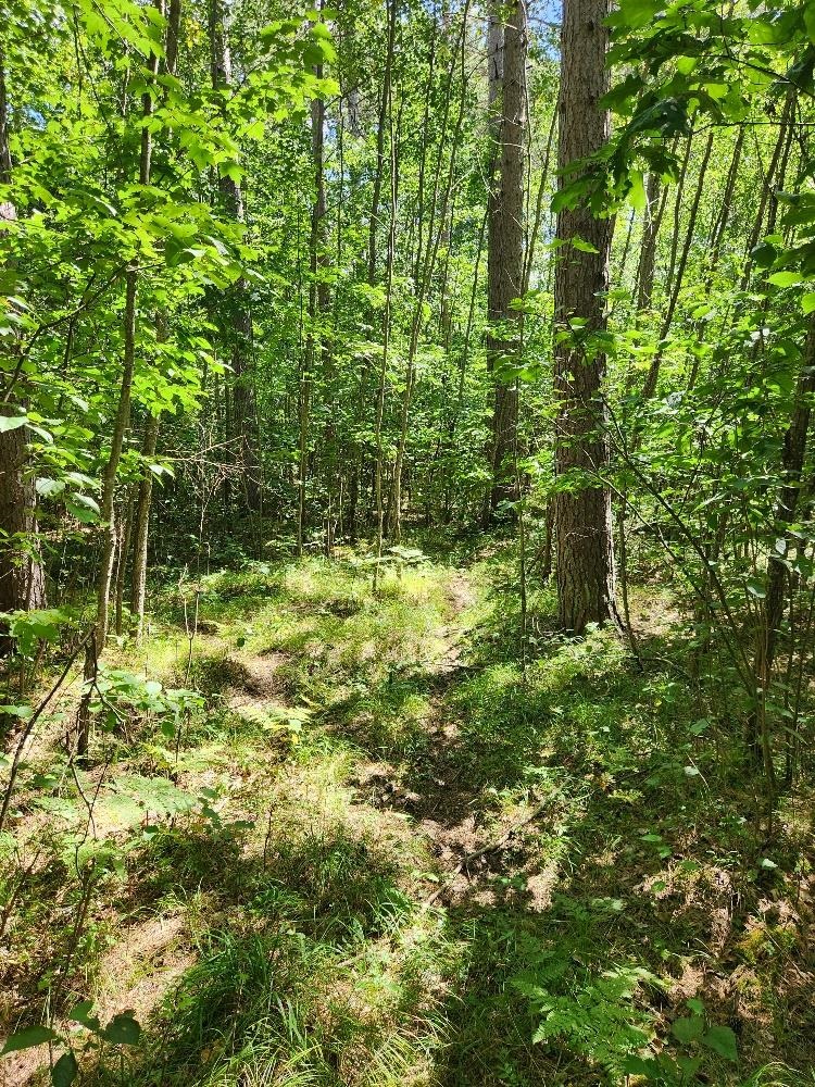 On Prairie Lake Road Property Photo 17