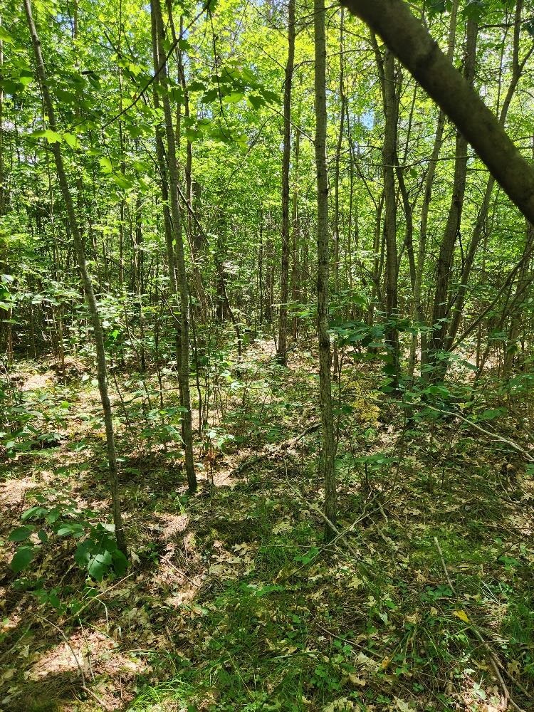 On Prairie Lake Road Property Photo 18