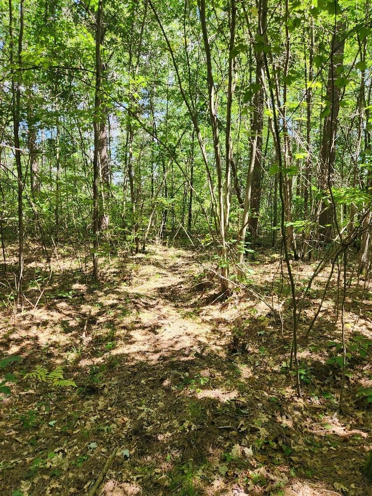 On Prairie Lake Road Property Photo 19