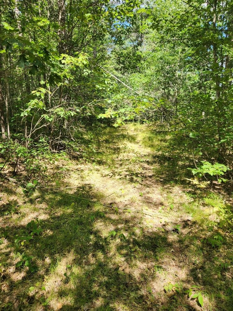 On Prairie Lake Road Property Photo 20