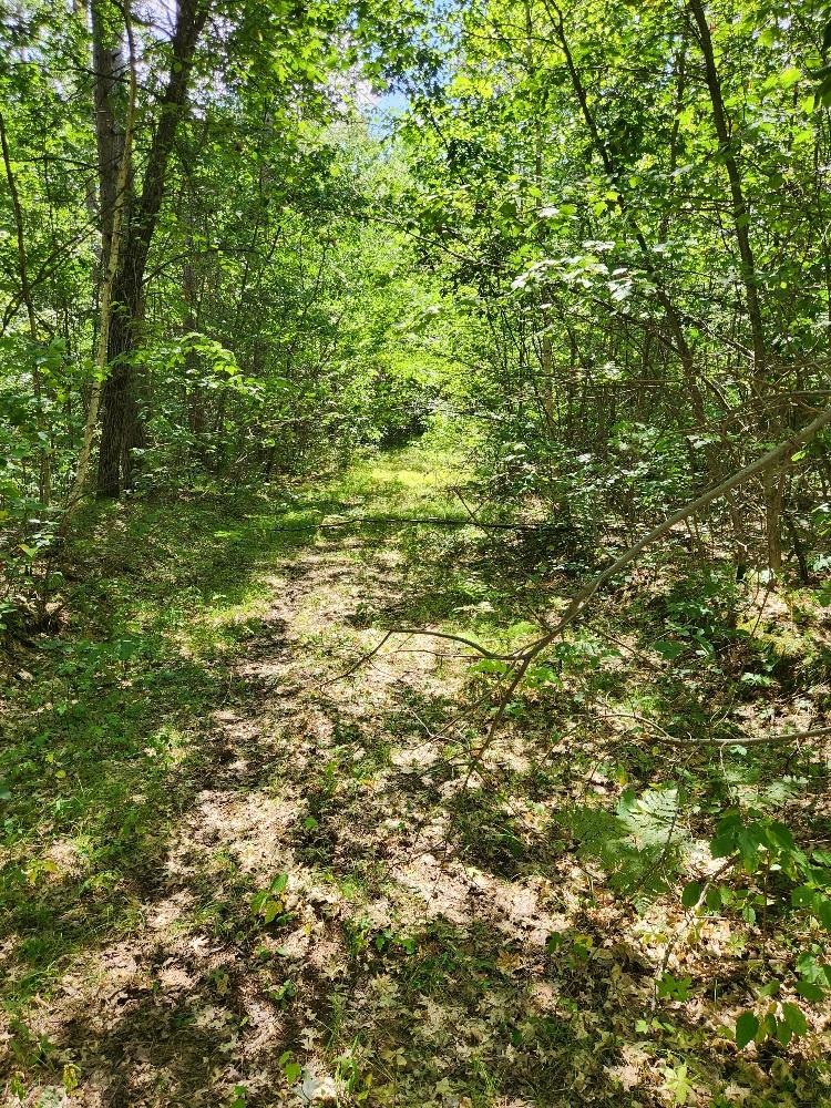 On Prairie Lake Road Property Photo 21