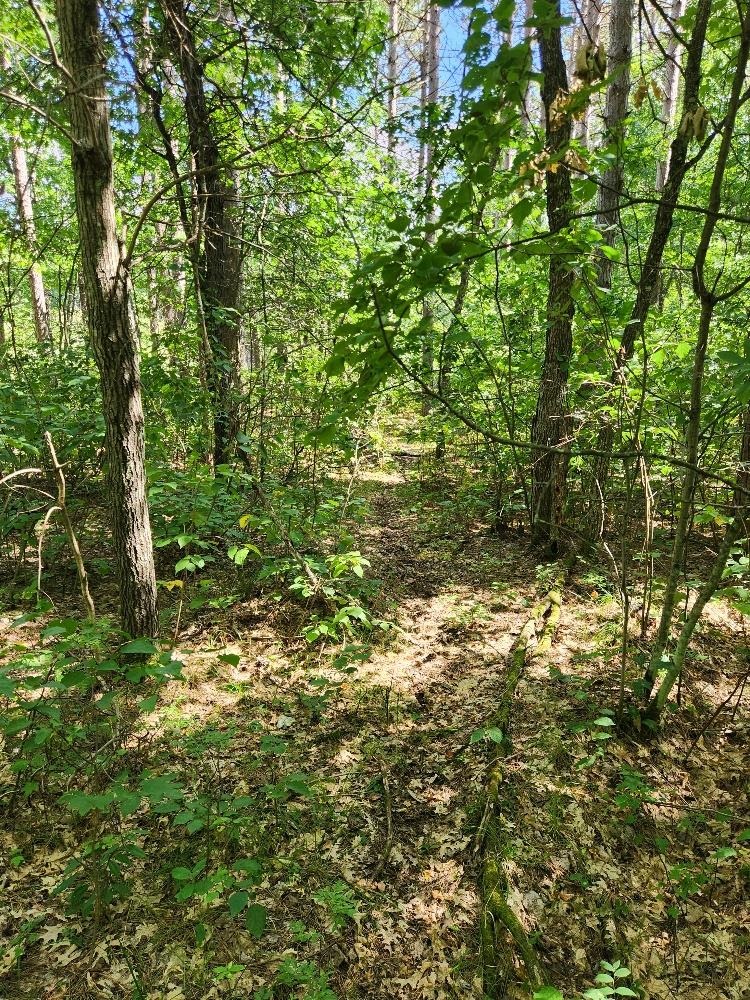 On Prairie Lake Road Property Photo 22