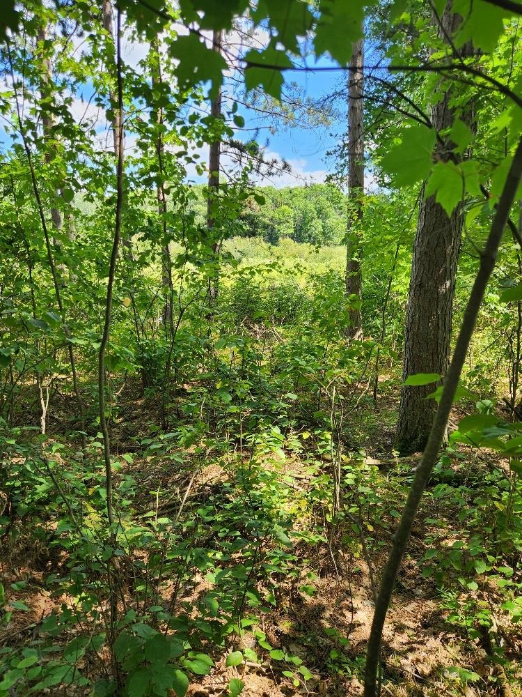 On Prairie Lake Road Property Photo 23