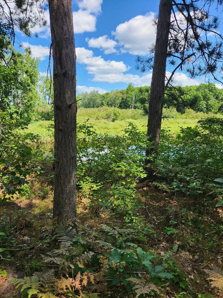 On Prairie Lake Road Property Photo 25
