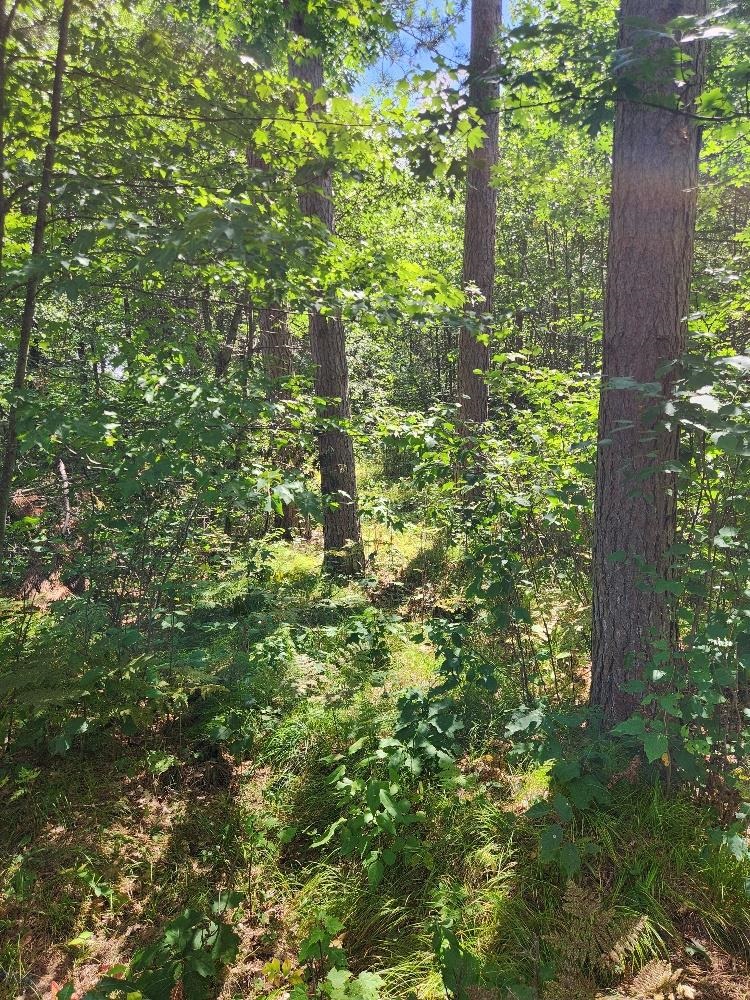 On Prairie Lake Road Property Photo 27