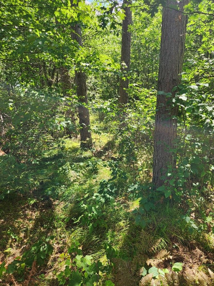 On Prairie Lake Road Property Photo 28