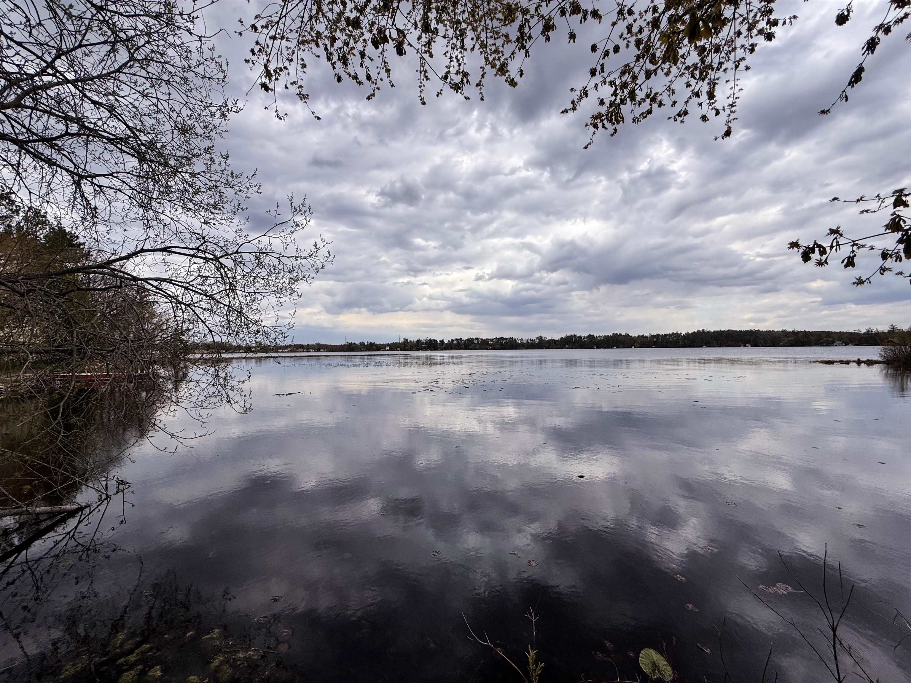 1.08 Acres Loon Bay Lane Property Photo 2