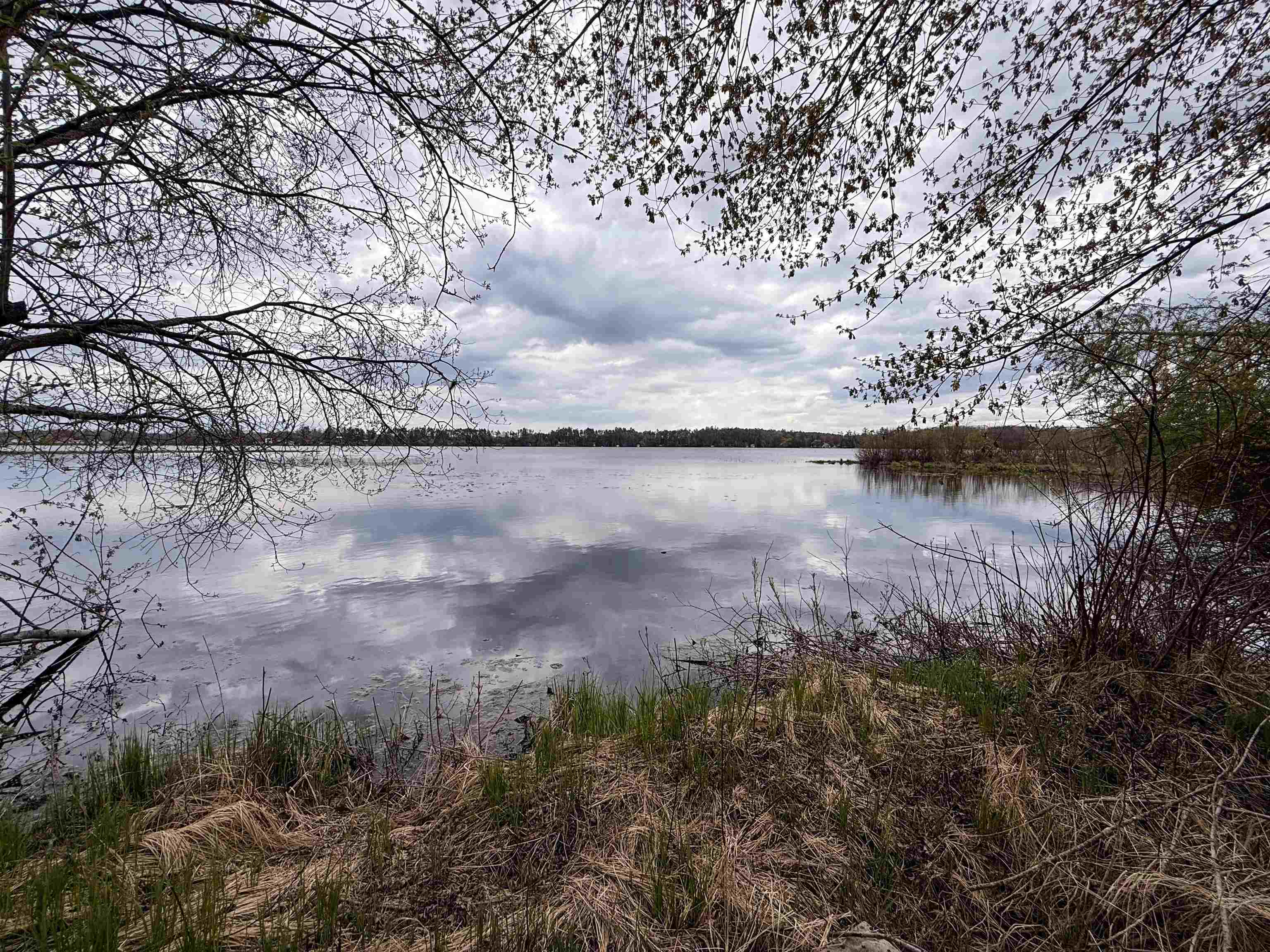 1.08 Acres Loon Bay Lane Property Photo 6
