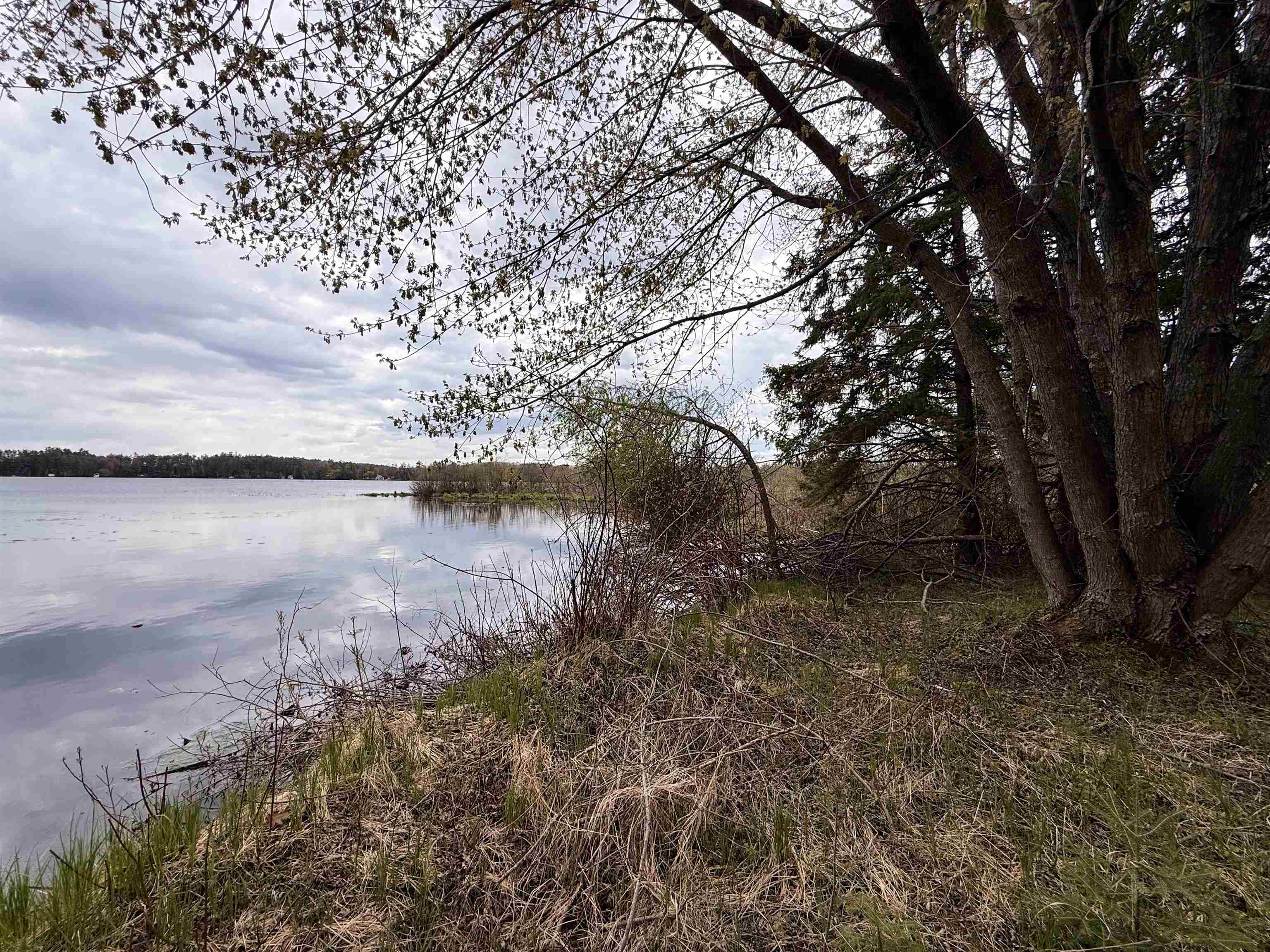 1.08 Acres Loon Bay Lane Property Photo 7