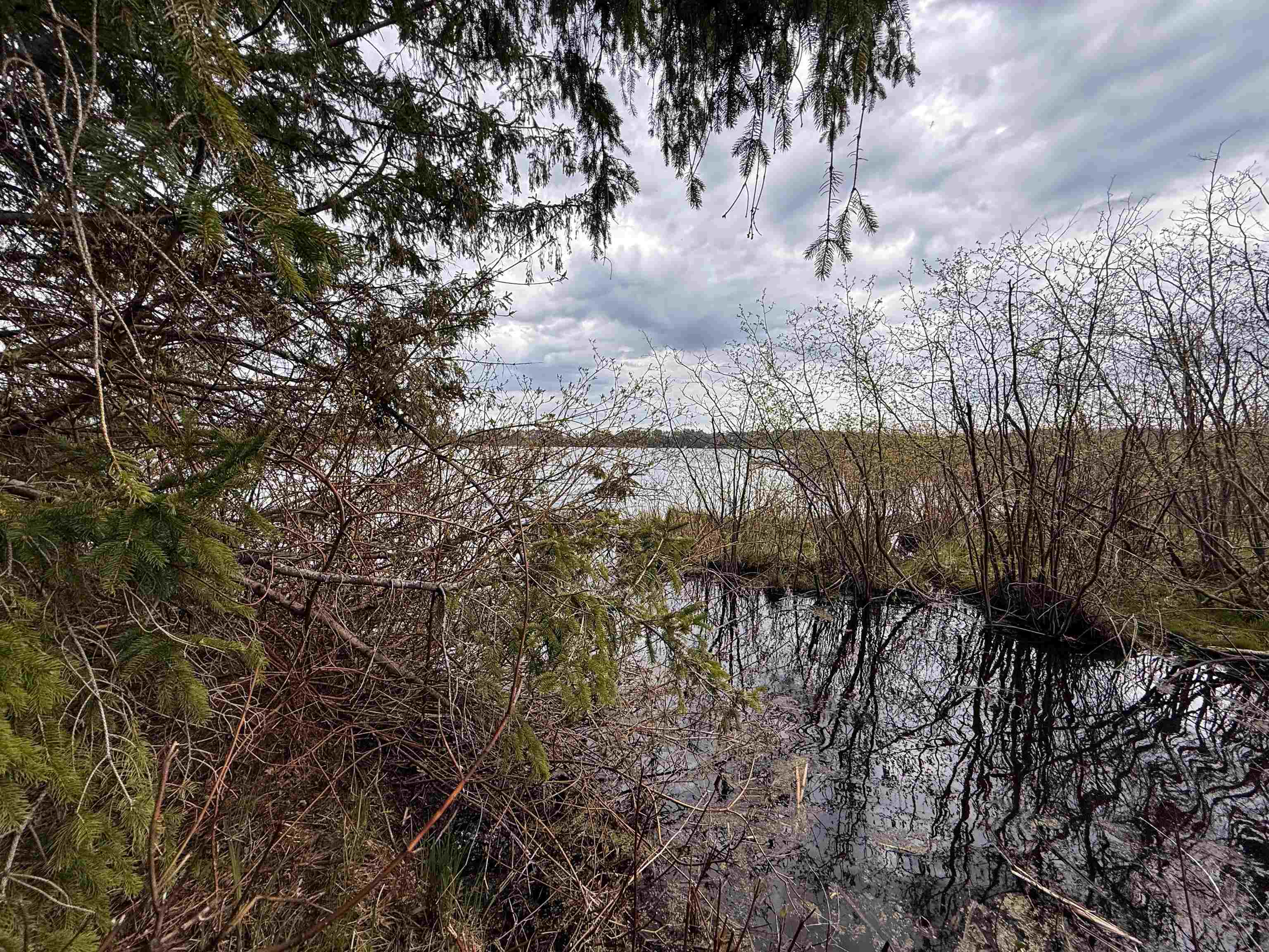 1.08 Acres Loon Bay Lane Property Photo 9