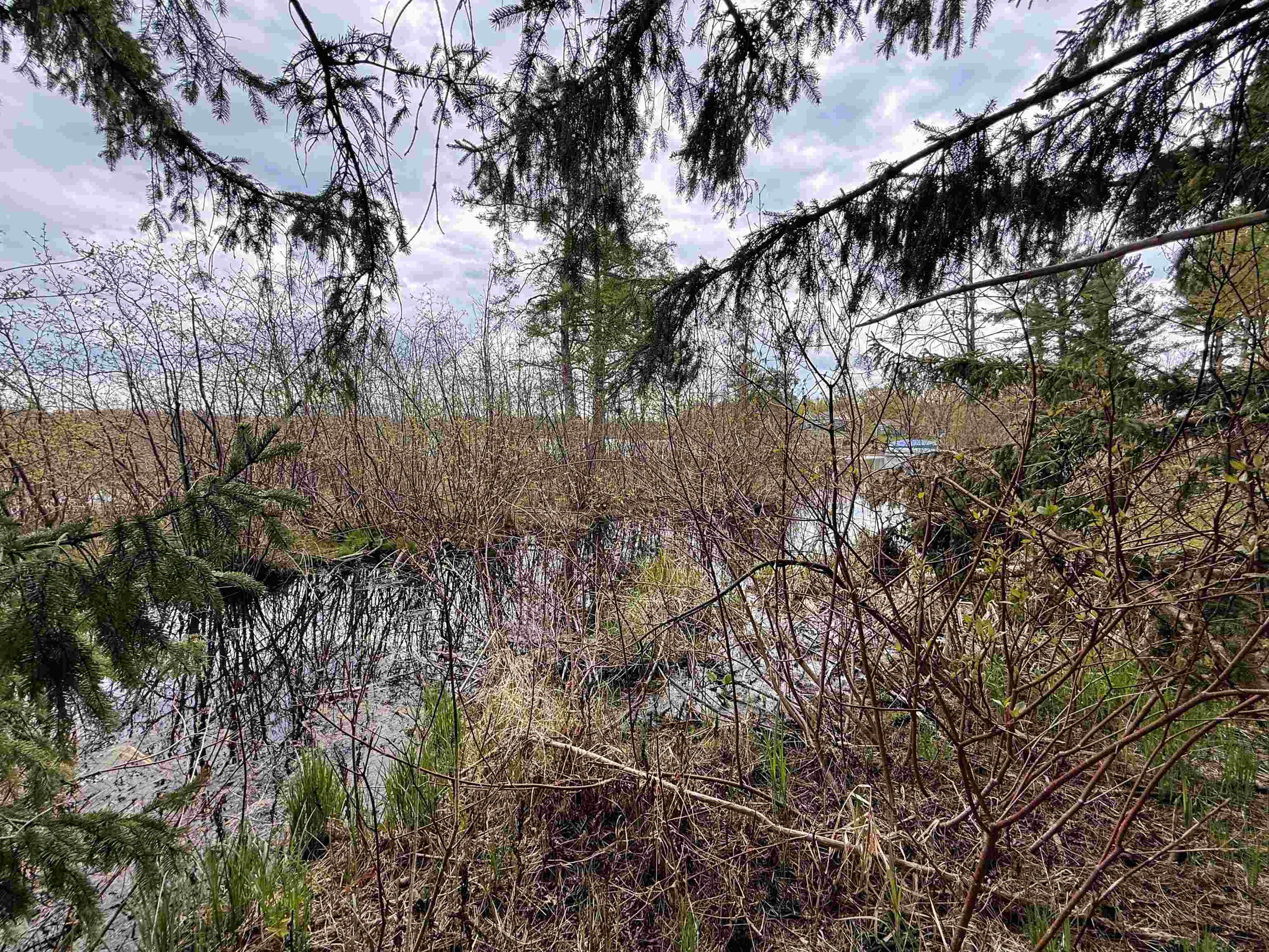 1.08 Acres Loon Bay Lane Property Photo 10