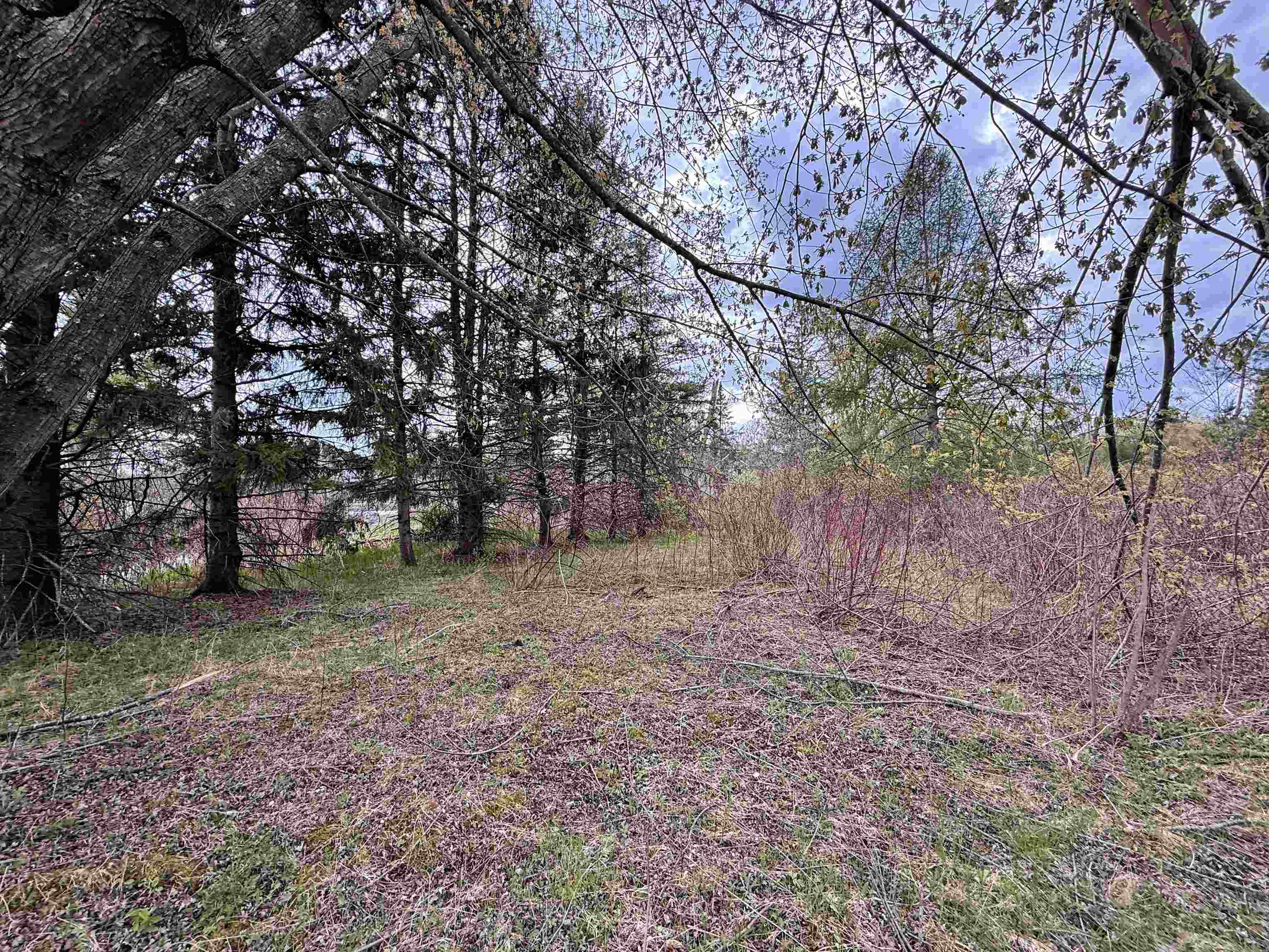 1.08 Acres Loon Bay Lane Property Photo 11