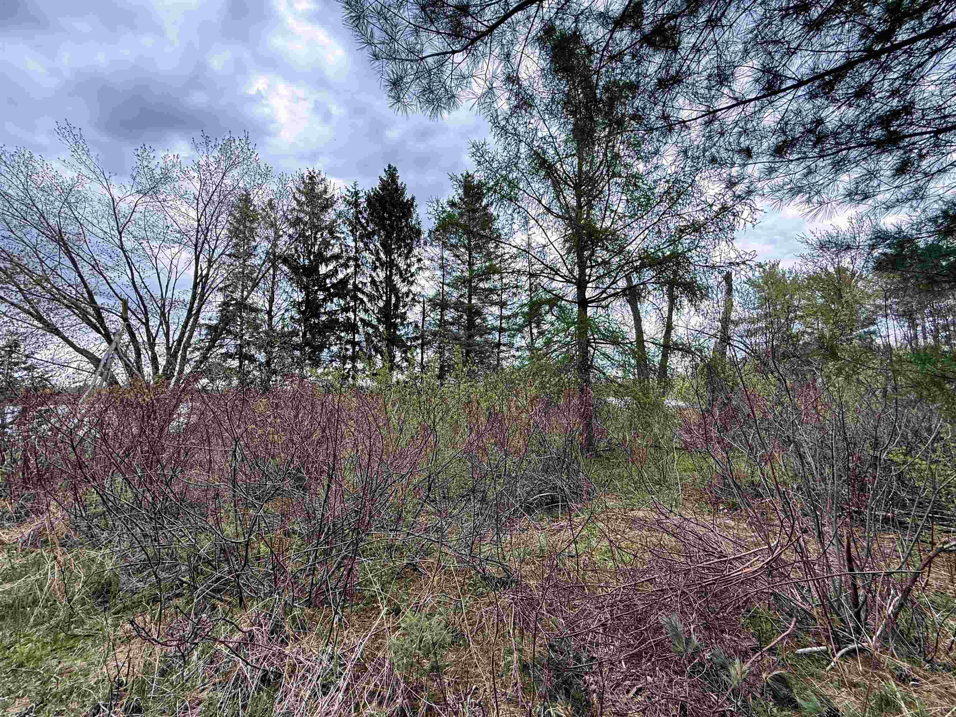 1.08 Acres Loon Bay Lane Property Photo 13