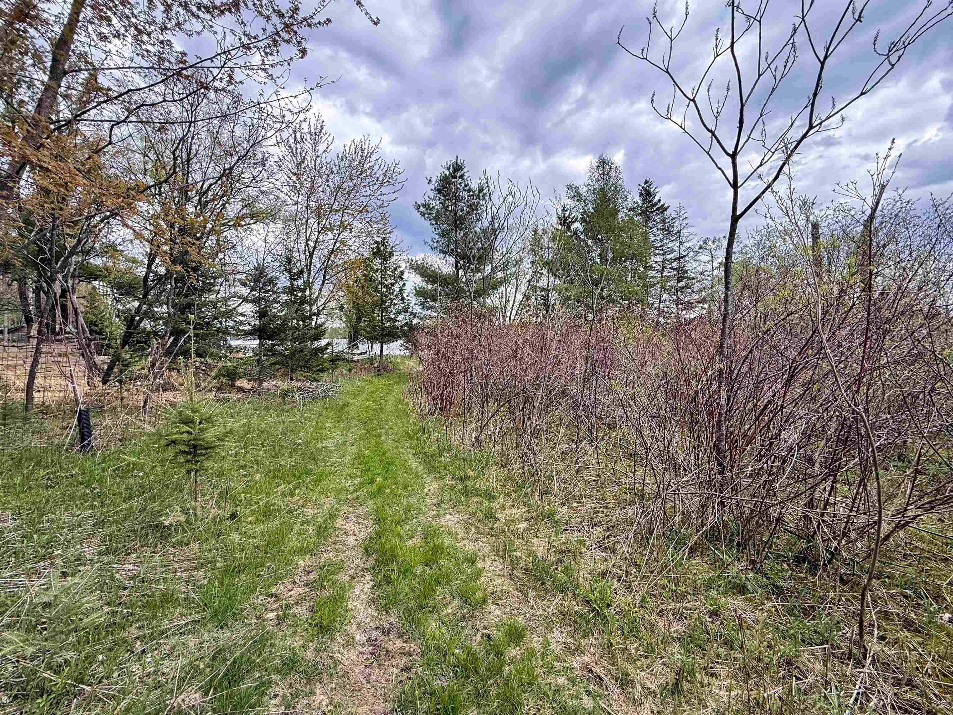 1.08 Acres Loon Bay Lane Property Photo 15