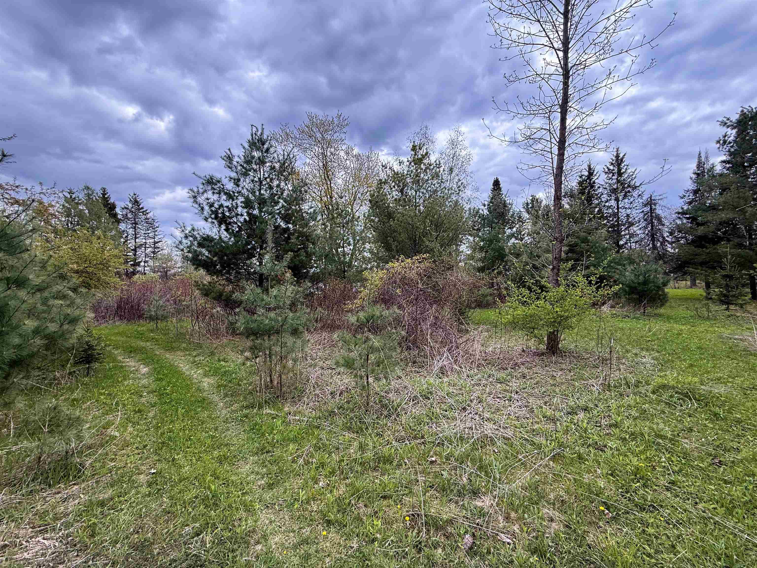 1.08 Acres Loon Bay Lane Property Photo 16