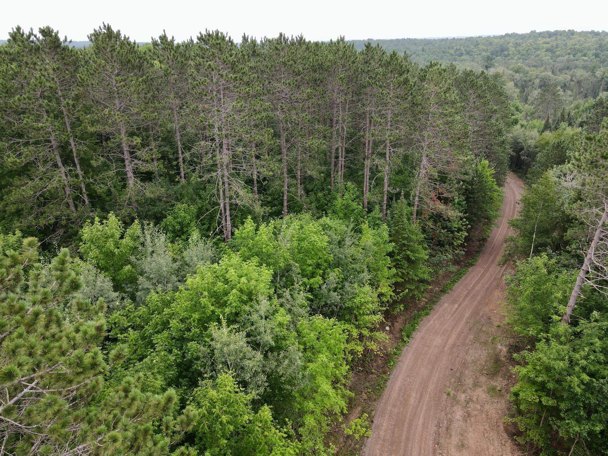 Lot 1 David Road Property Photo 16