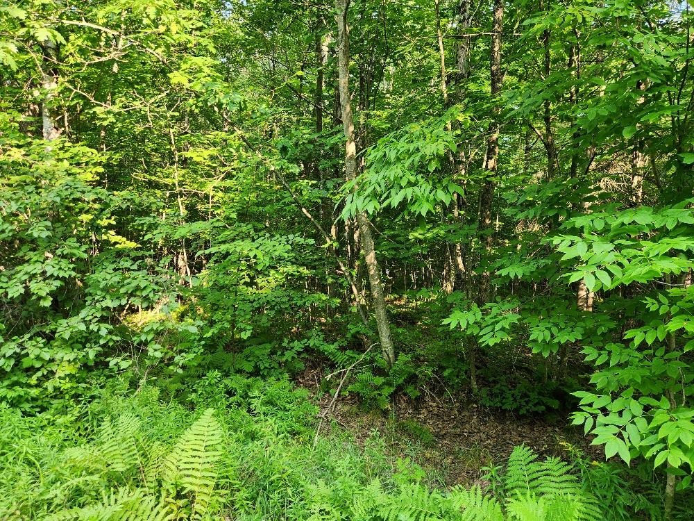 N6038 Gruening Lane Property Photo 4