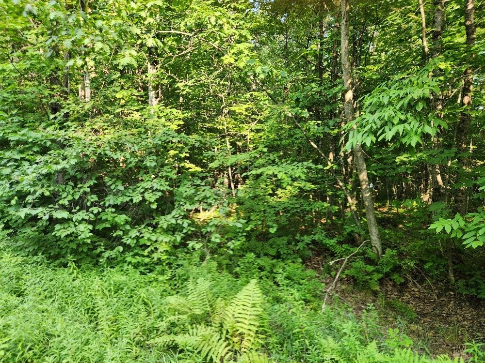 N6038 Gruening Lane Property Photo 5