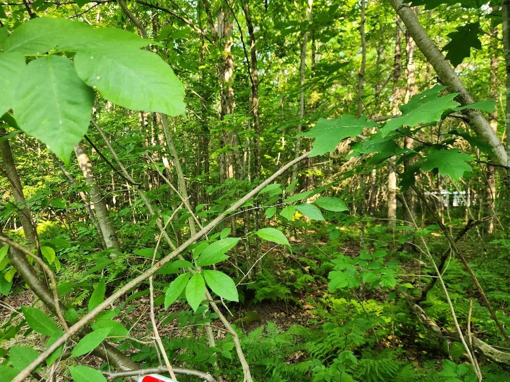 N6038 Gruening Lane Property Photo 6