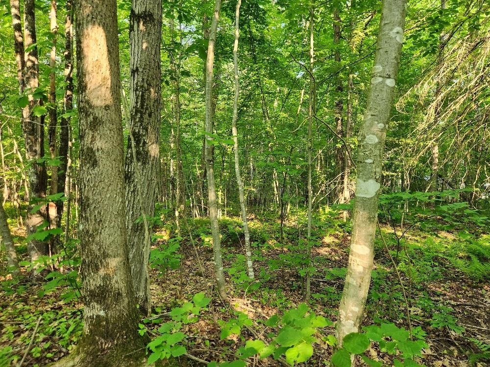 N6038 Gruening Lane Property Photo 8