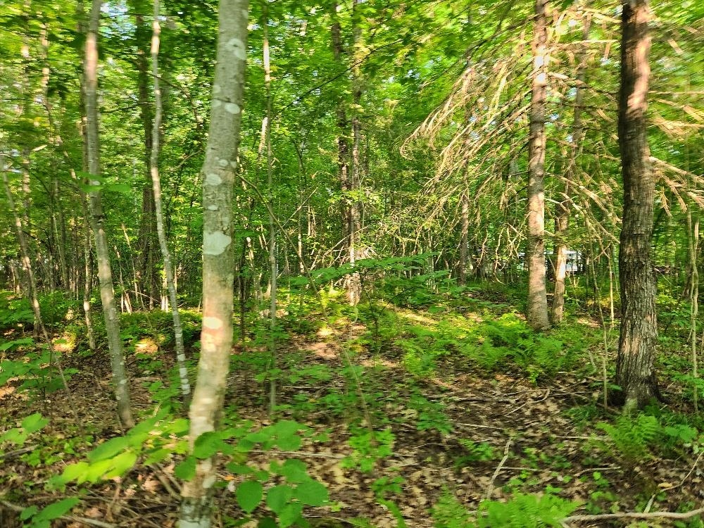 N6038 Gruening Lane Property Photo 9