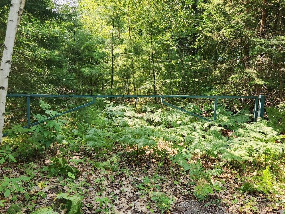1505 Swallow Lane Property Photo 4