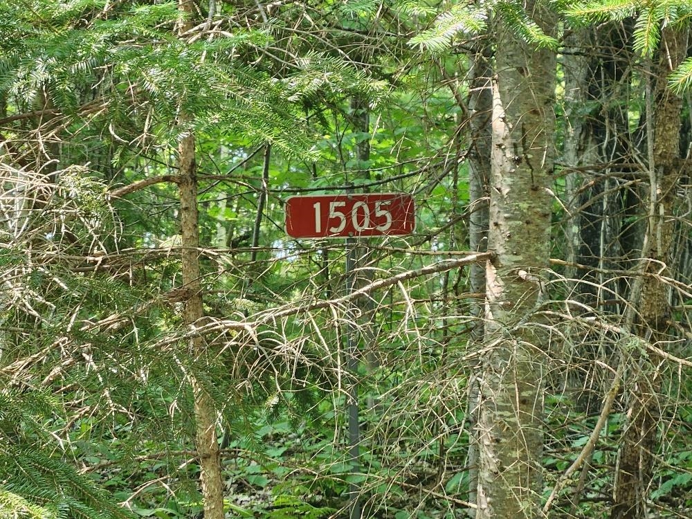 1505 Swallow Lane Property Photo 6
