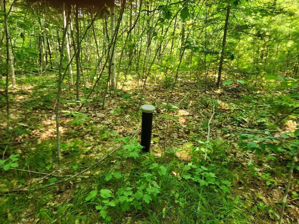 1505 Swallow Lane Property Photo 8