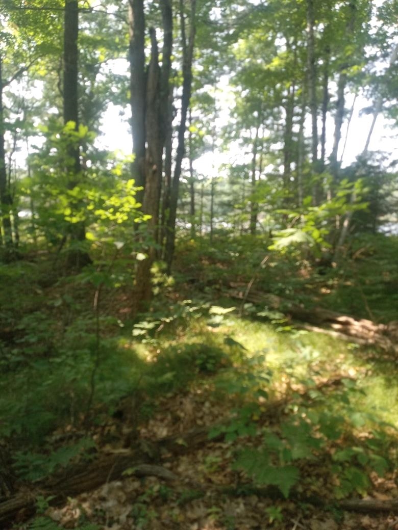 1505 Swallow Lane Property Photo 11