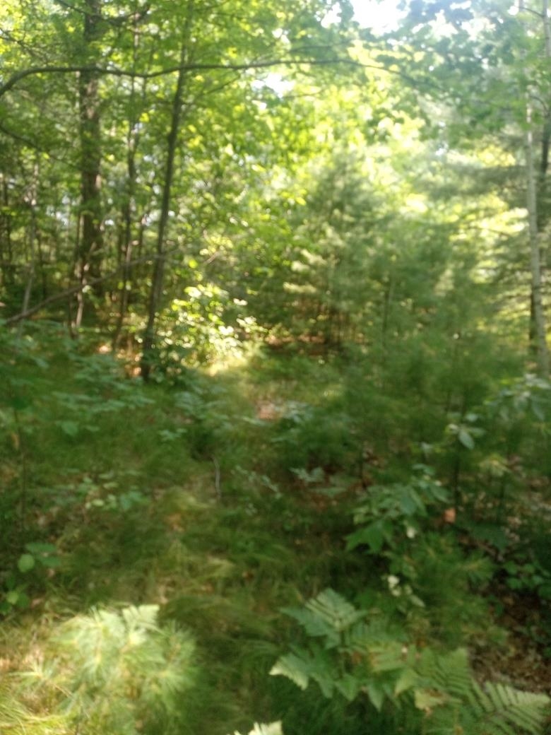 1505 Swallow Lane Property Photo 12