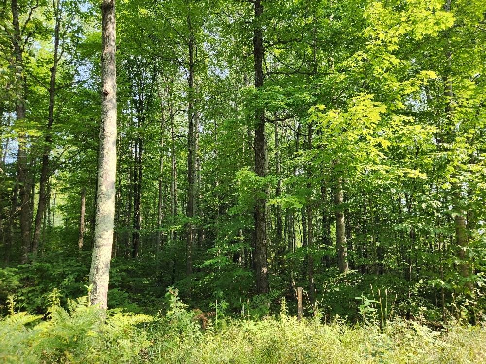 On W Amber Lake Road Property Photo 5