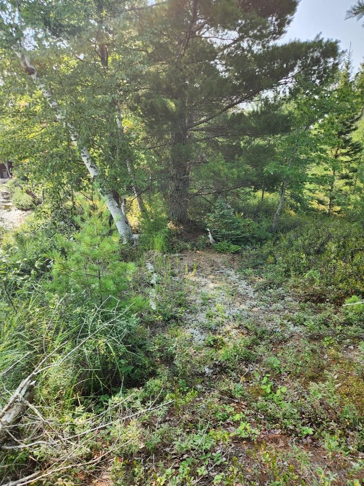 On W Amber Lake Road Property Photo 10