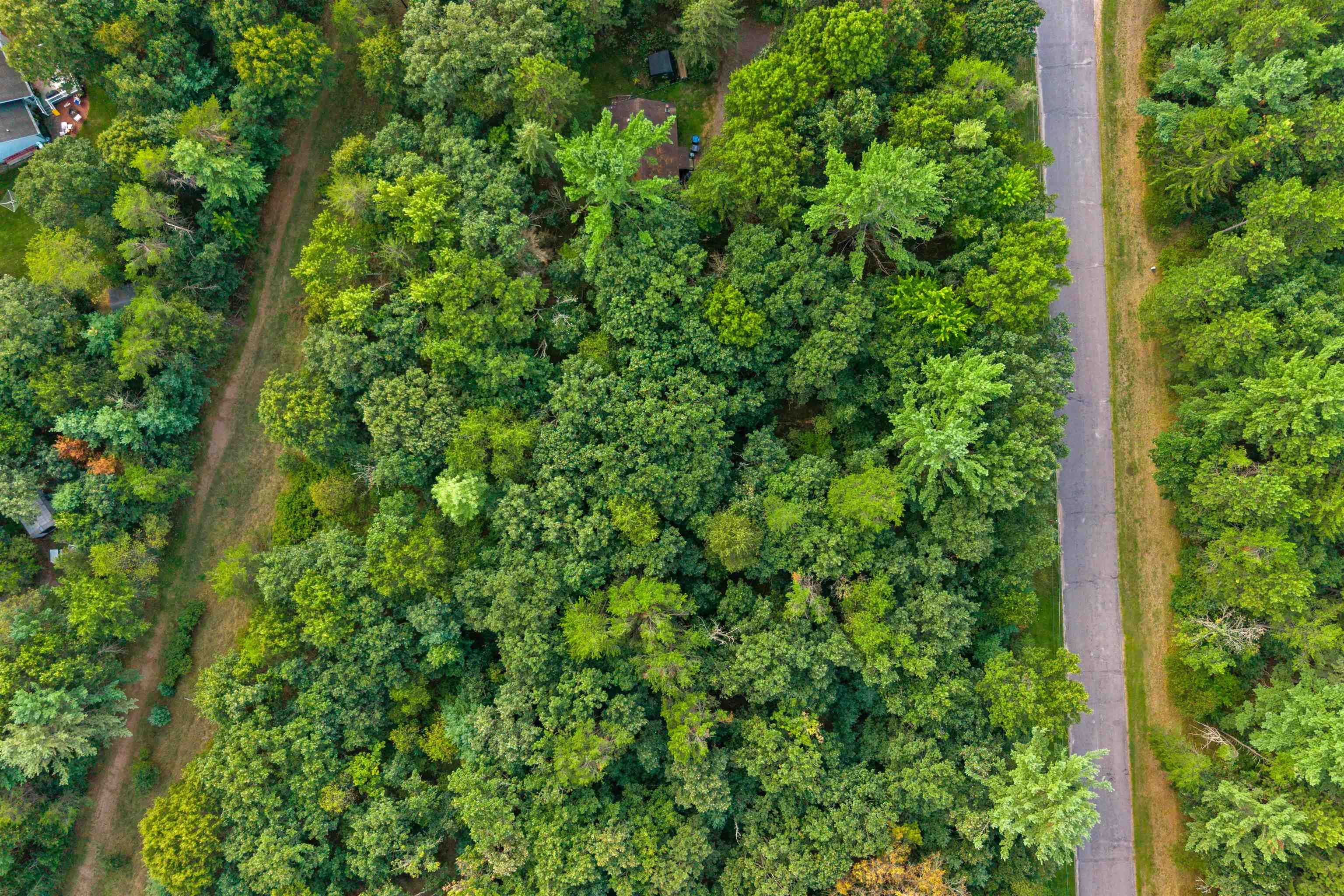 Lot 8 South Park Road Property Photo 8