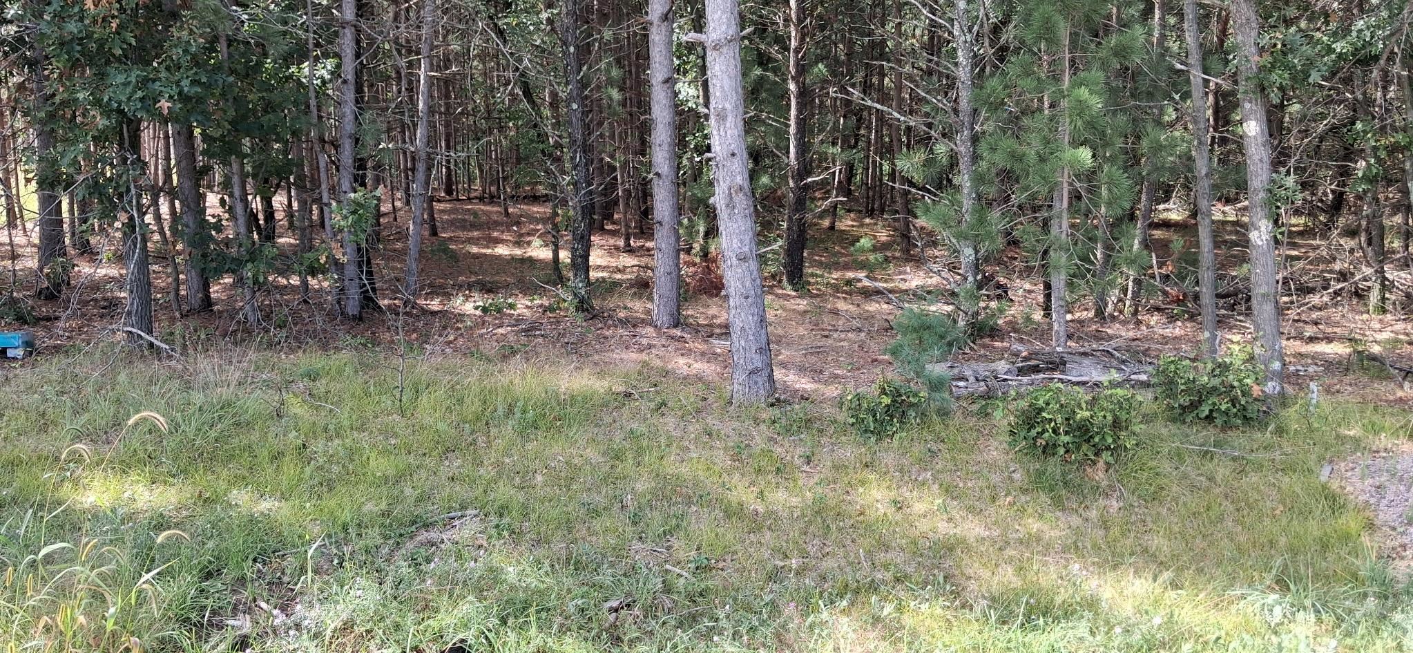 2110 60th Street South Property Photo 2