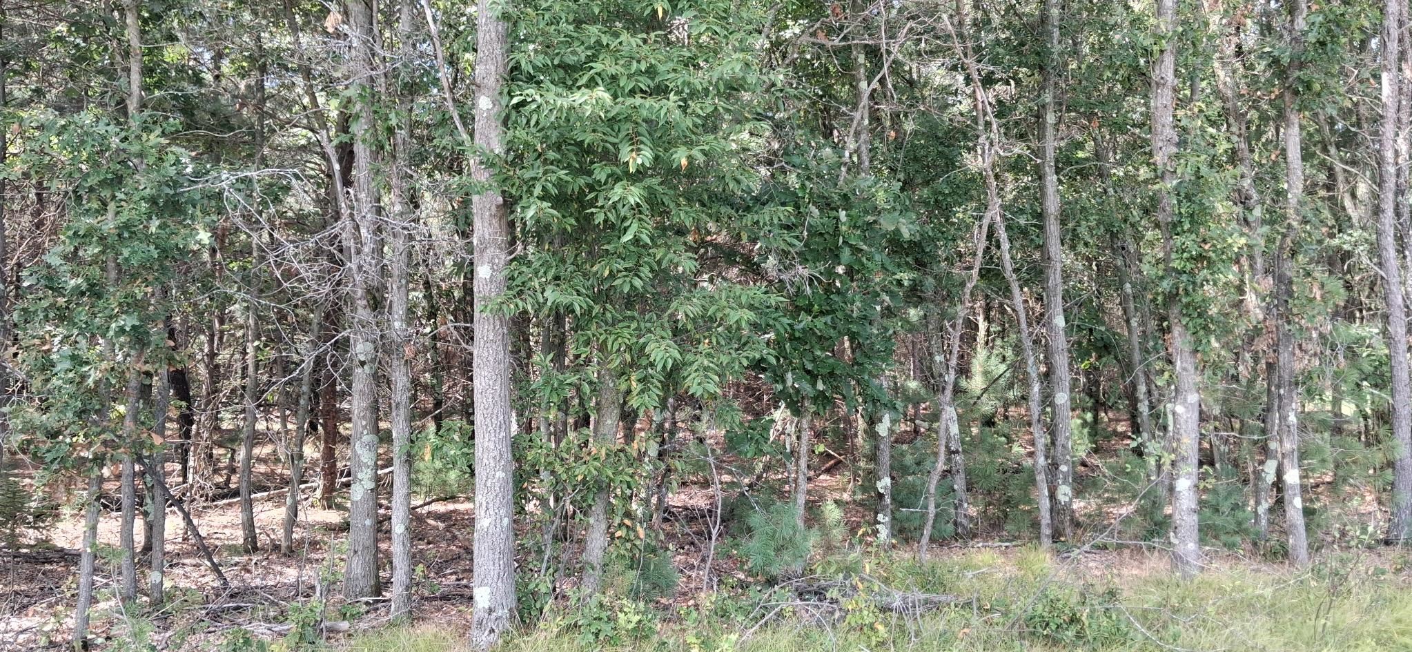 2110 60th Street South Property Photo 4
