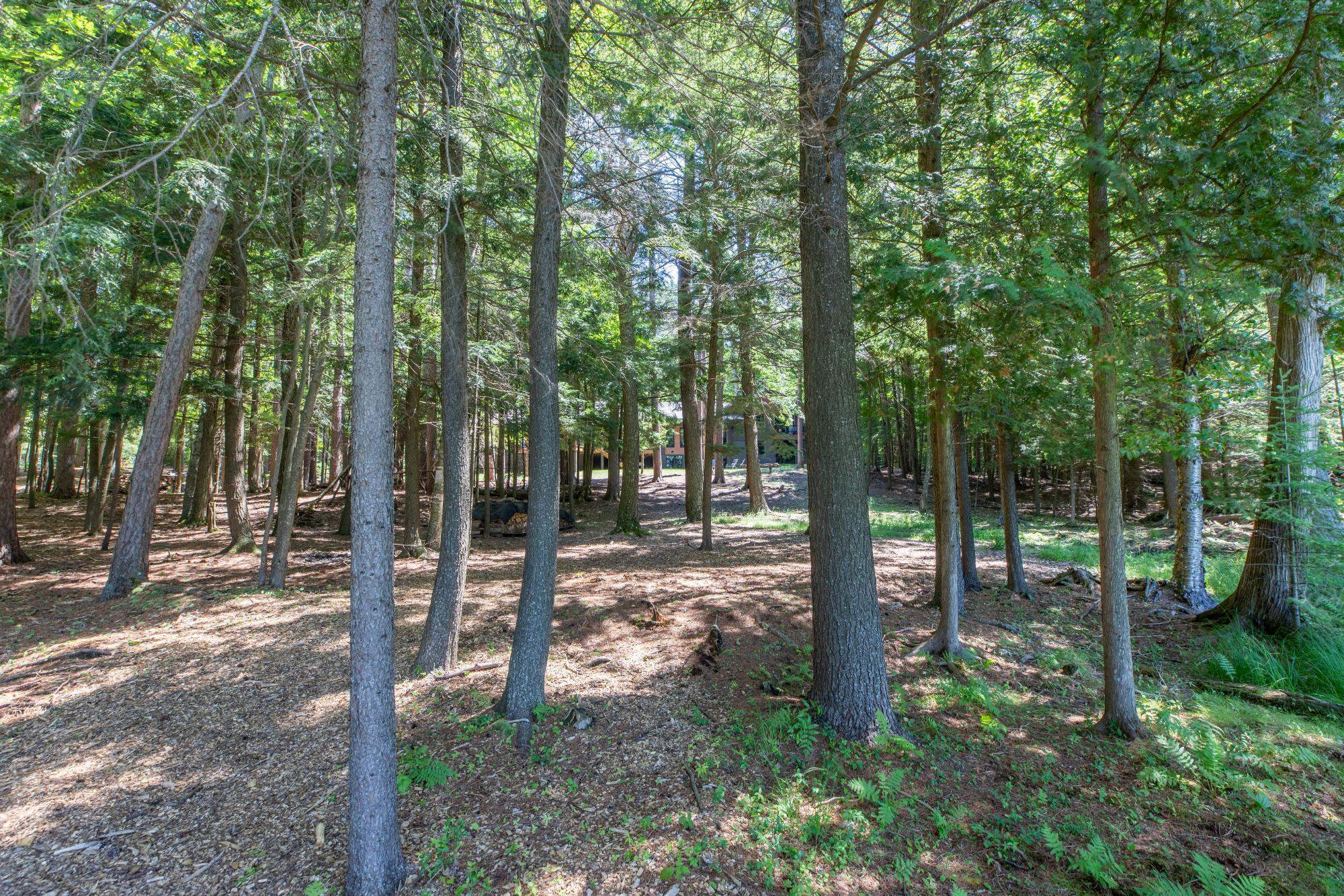4253 Circle Drive Property Photo 51