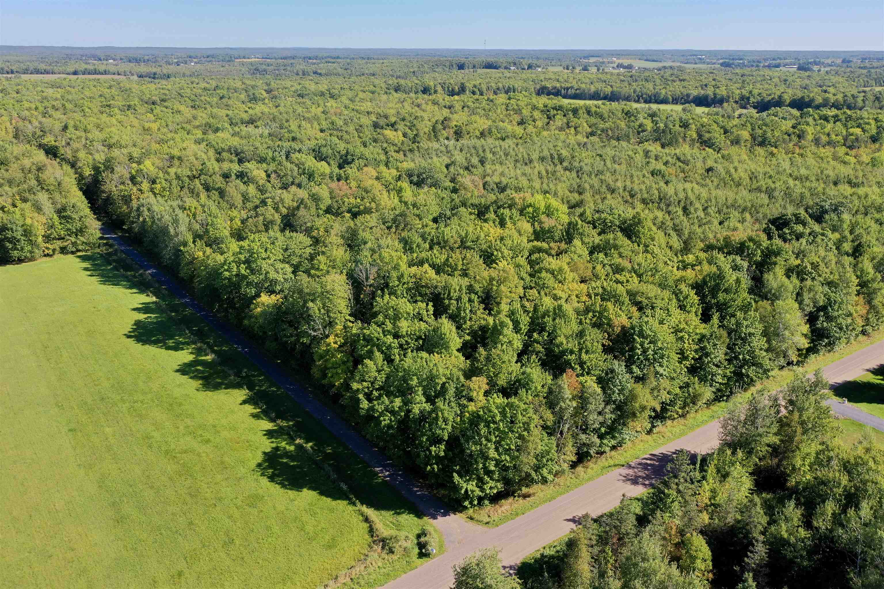 +/-80 Acres Pine Avenue Property Photo 8