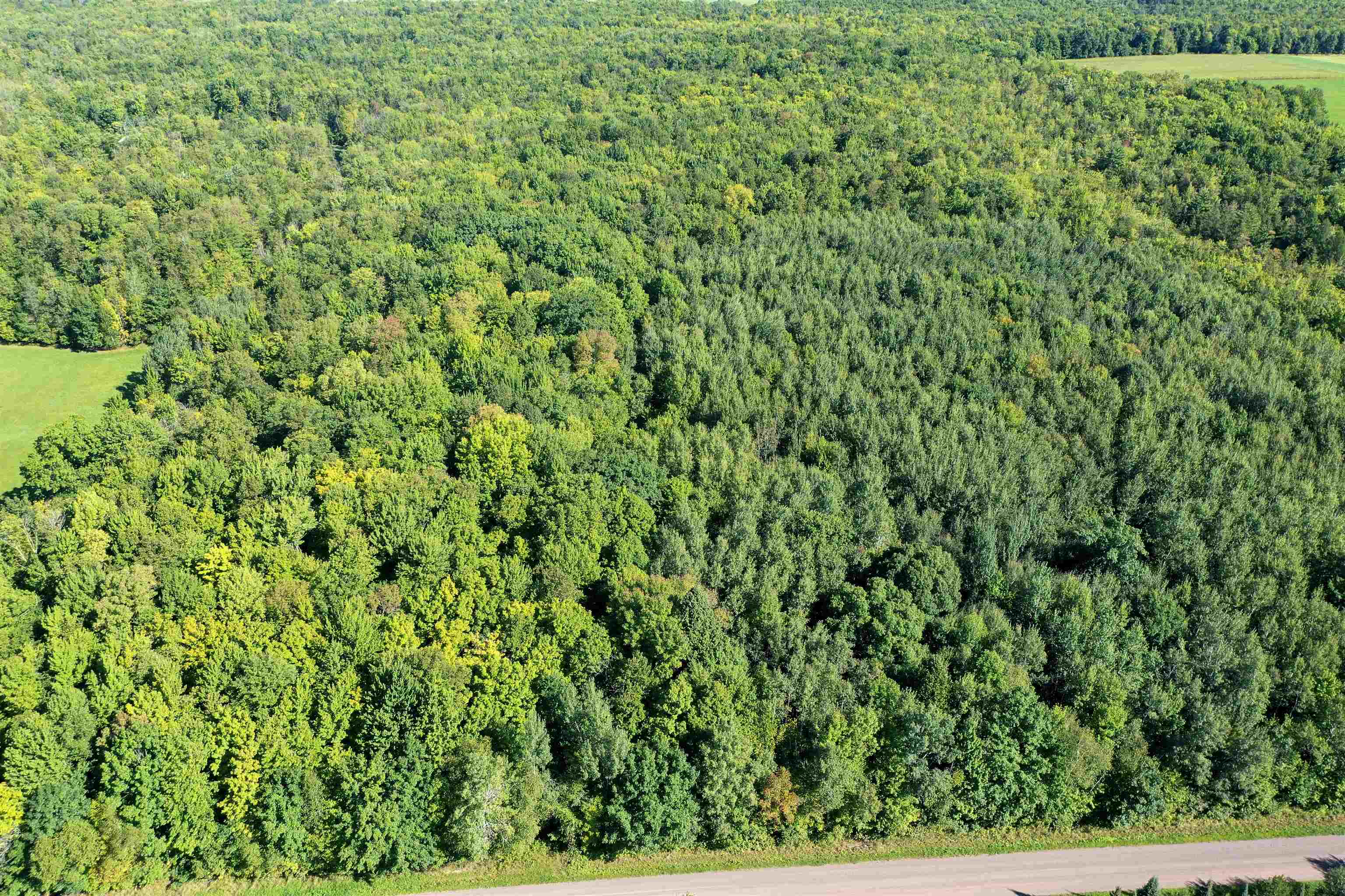 +/-80 Acres Pine Avenue Property Photo 9