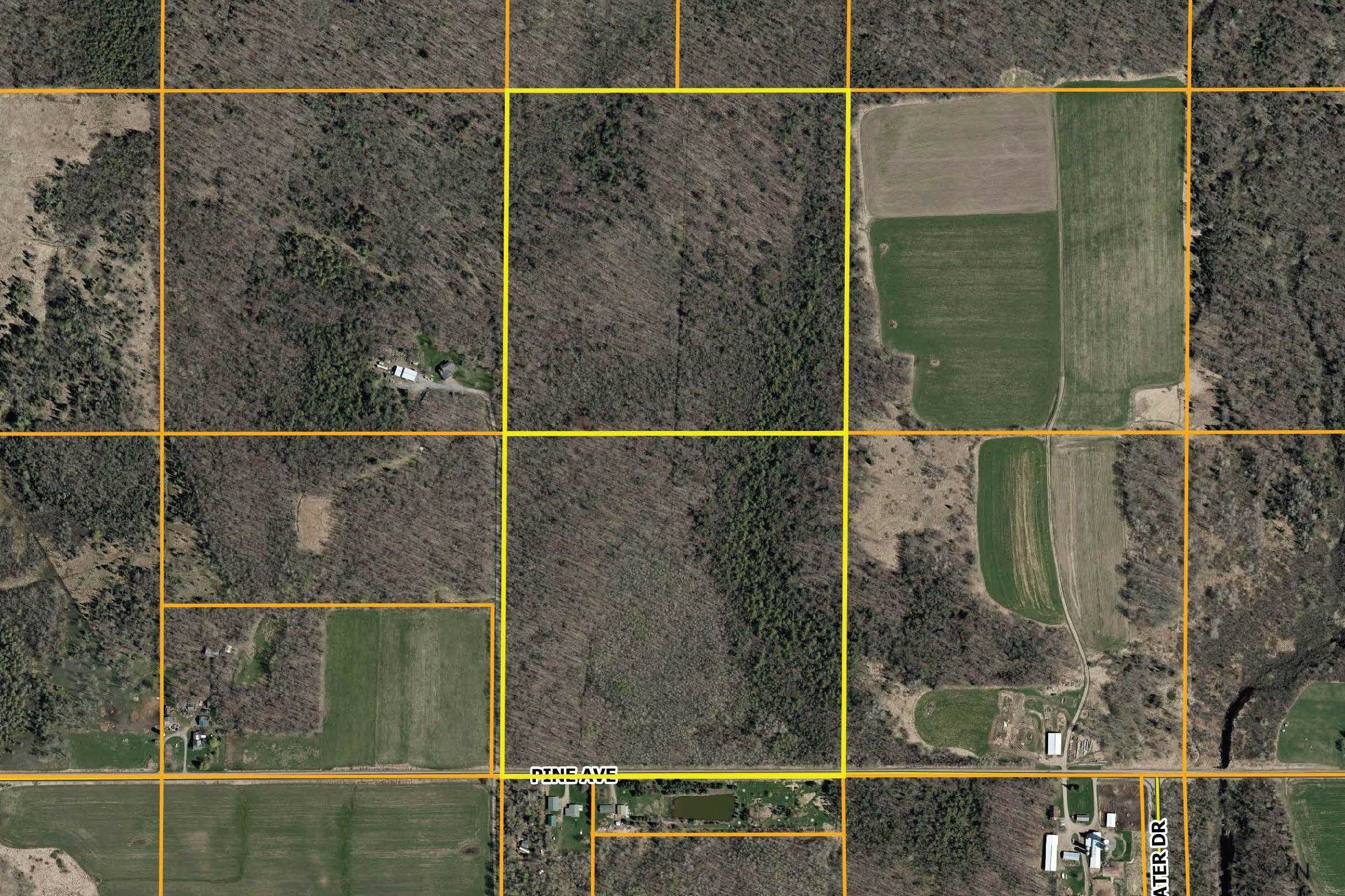 +/-80 Acres Pine Avenue Property Photo 11