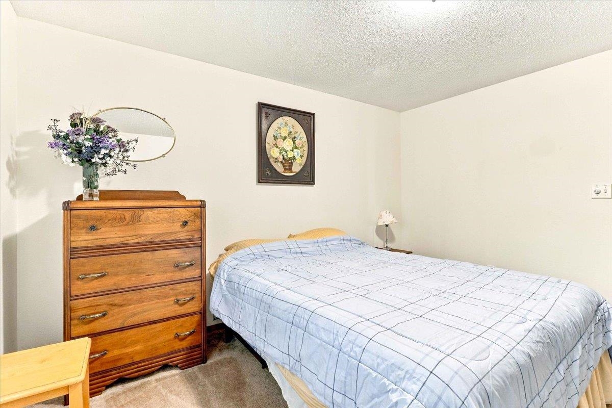 22604458 Property Photo 38