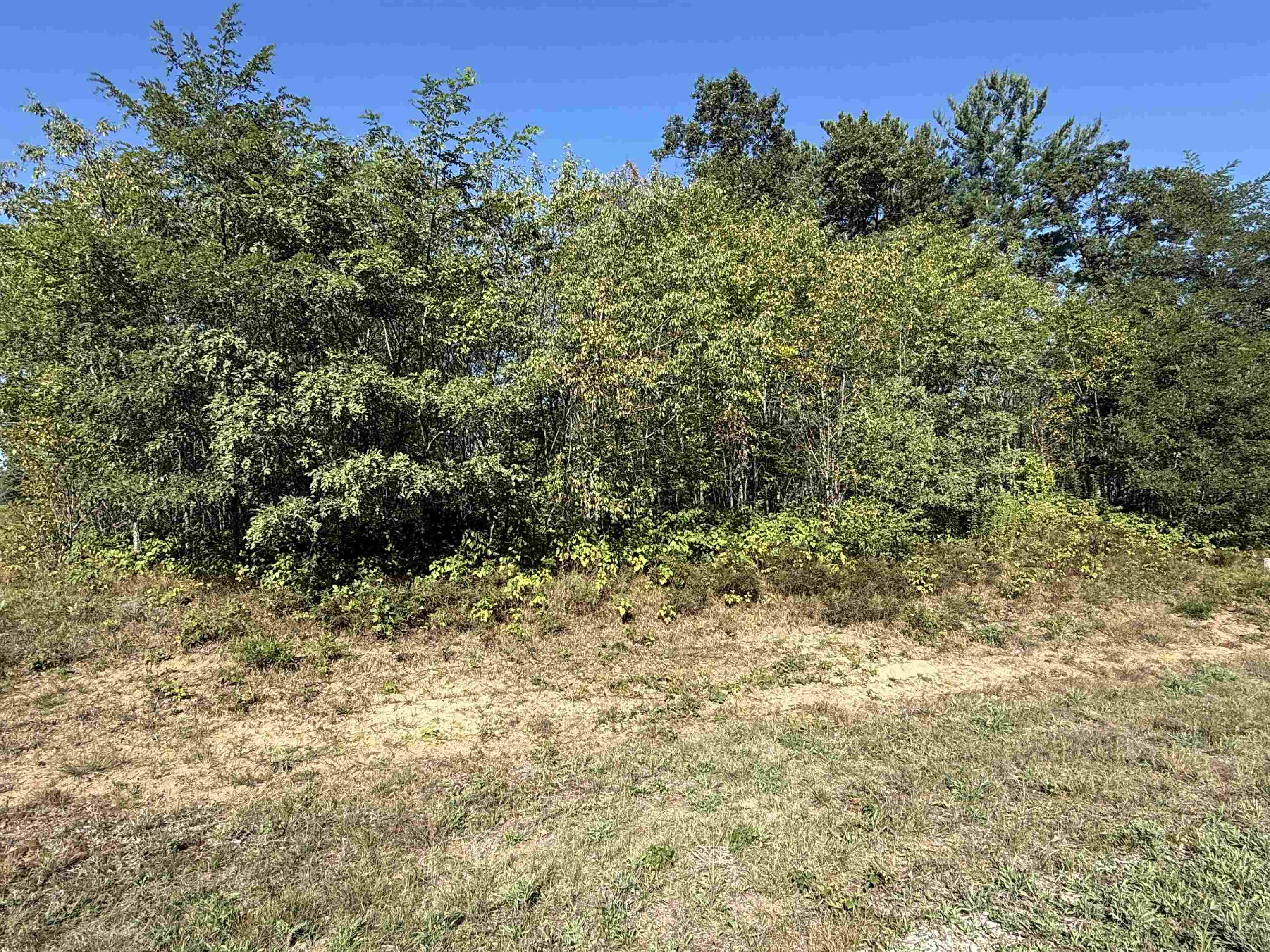 2125 BROOKE LANE Property Photo 1