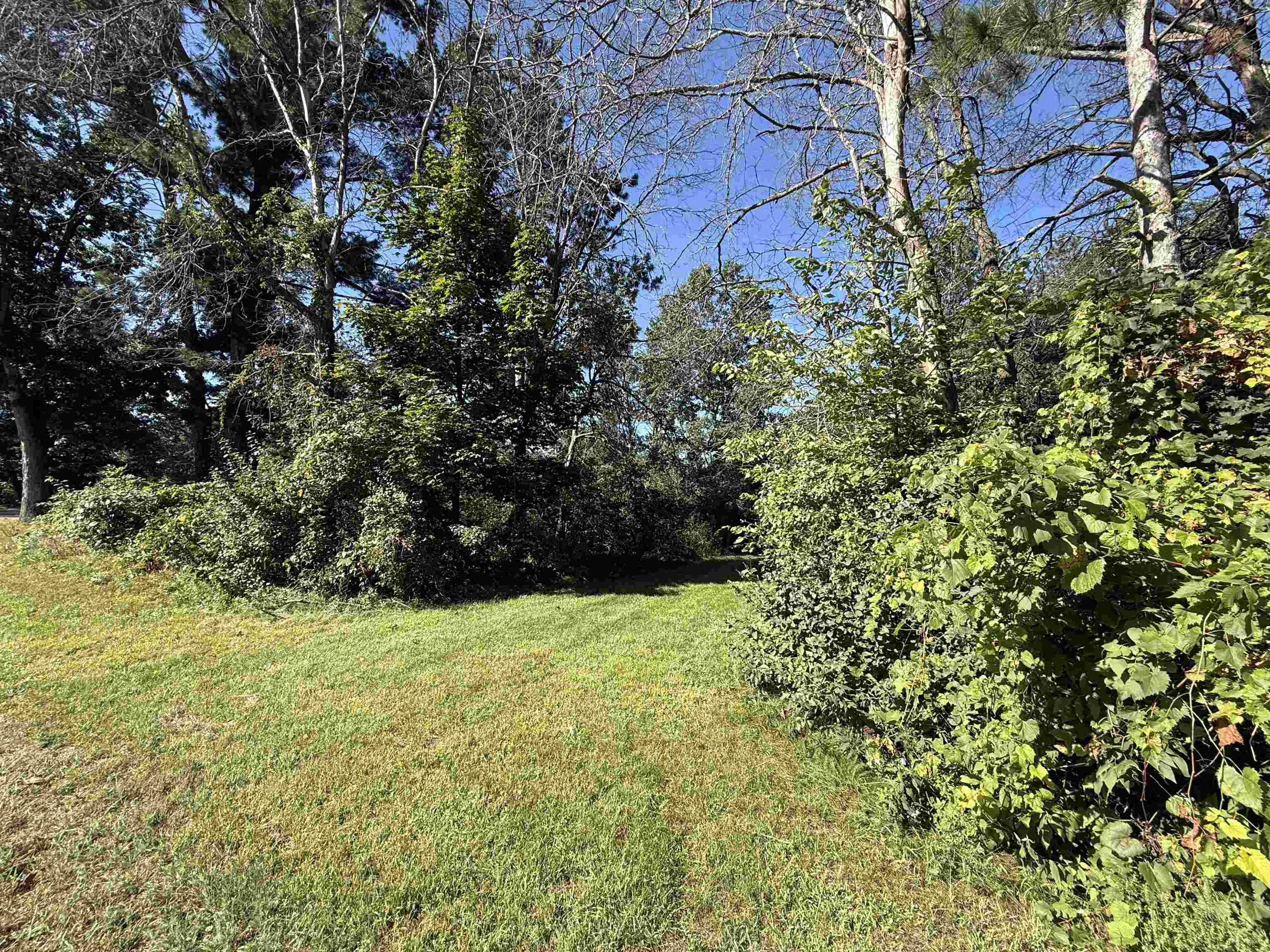 2326 Brooke Lane Property Photo 3